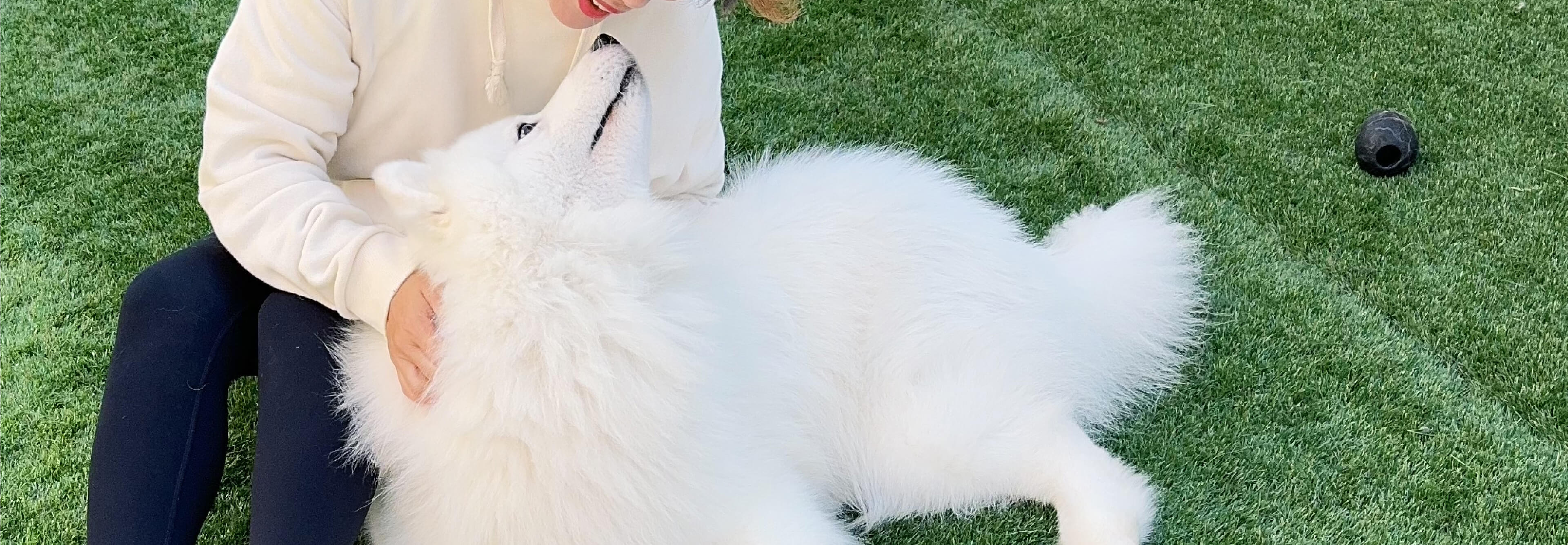 Snow Paw's Land メインビジュアル1